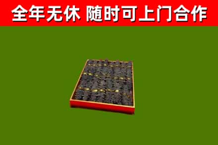 双河市回收海参